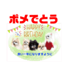 Smilewanの仲間達②（個別スタンプ：31）
