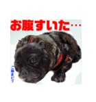Smilewanの仲間達②（個別スタンプ：32）