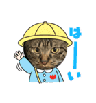 猫のうにスタンプ（個別スタンプ：1）