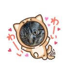猫のうにスタンプ（個別スタンプ：3）