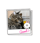 猫のうにスタンプ（個別スタンプ：9）