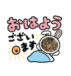猫のうにスタンプ（個別スタンプ：17）