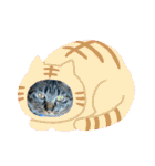 猫のうにスタンプ（個別スタンプ：23）