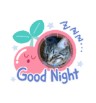 猫のうにスタンプ（個別スタンプ：28）