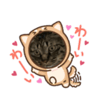 猫のうにスタンプ（個別スタンプ：31）
