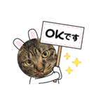 猫のうにスタンプ（個別スタンプ：32）