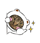 猫のうにスタンプ（個別スタンプ：33）