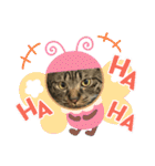 猫のうにスタンプ（個別スタンプ：35）