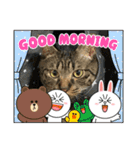 猫のうにスタンプ（個別スタンプ：39）