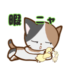 みけ猫と駄洒落（個別スタンプ：38）