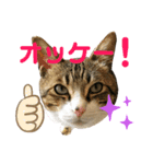 ごえもん日和 13（個別スタンプ：2）