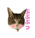 ごえもん日和 13（個別スタンプ：5）