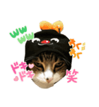 ごえもん日和 13（個別スタンプ：7）