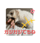 めりるでち❤️へんへん（個別スタンプ：2）
