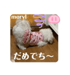 めりるでち❤️へんへん（個別スタンプ：3）