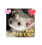 めりるでち❤️へんへん（個別スタンプ：5）