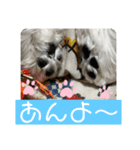 めりるでち❤️へんへん（個別スタンプ：7）