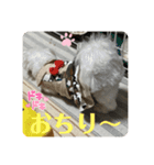 めりるでち❤️へんへん（個別スタンプ：8）