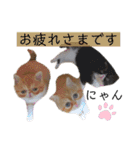 コムギ日記のフォロワー様スタンプ⑤（個別スタンプ：16）