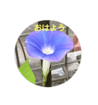 季節のスタンプ1  春〜夏（個別スタンプ：1）