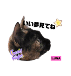 みらいねこ横濱⑥。（個別スタンプ：4）