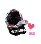 みらいねこ横濱⑥。（個別スタンプ：9）