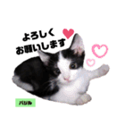 みらいねこ横濱⑥。（個別スタンプ：24）