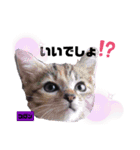 みらいねこ横濱⑥。（個別スタンプ：32）