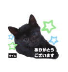 みらいねこ横濱⑥。（個別スタンプ：35）