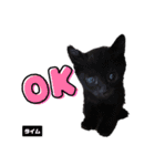 みらいねこ横濱⑥。（個別スタンプ：37）