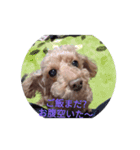 ワンちゃん好きにはたまらなくてかわいい（個別スタンプ：3）