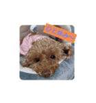 ワンちゃん好きにはたまらなくてかわいい（個別スタンプ：4）