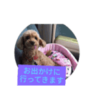ワンちゃん好きにはたまらなくてかわいい（個別スタンプ：7）