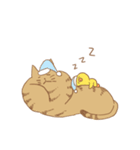 モフモフ x BROWN（個別スタンプ：1）