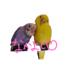すけかく1（個別スタンプ：2）