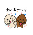 coco＆茶々丸(トイプードル犬)のスタンプ（個別スタンプ：31）