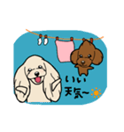 coco＆茶々丸(トイプードル犬)のスタンプ（個別スタンプ：35）