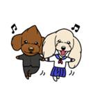 coco＆茶々丸(トイプードル犬)のスタンプ（個別スタンプ：36）