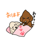 coco＆茶々丸(トイプードル犬)のスタンプ（個別スタンプ：39）