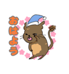 デグーちゃんスタンプ（個別スタンプ：1）