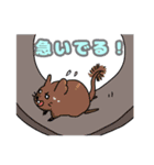 デグーちゃんスタンプ（個別スタンプ：8）