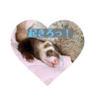 ぴのぴのぴーちゃん連絡スタンプ（個別スタンプ：5）