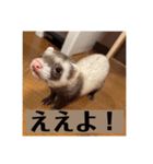 ぴのぴのぴーちゃん連絡スタンプ（個別スタンプ：7）