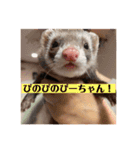 ぴのぴのぴーちゃん連絡スタンプ（個別スタンプ：8）