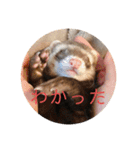 ぴのぴのぴーちゃん連絡スタンプ（個別スタンプ：9）