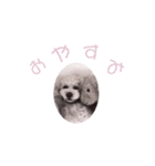 あいづちパルム♩トイプードル（個別スタンプ：8）