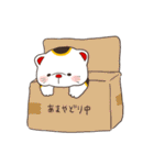 尾道の招き猫（個別スタンプ：2）