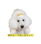 タンプスタンプスタンプ2（個別スタンプ：1）