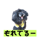 タンプスタンプスタンプ2（個別スタンプ：7）