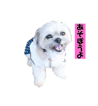 タンプスタンプスタンプ2（個別スタンプ：11）